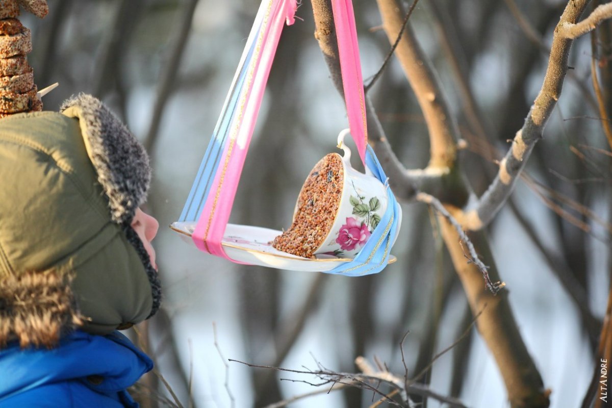 На что повесить кормушку для птиц