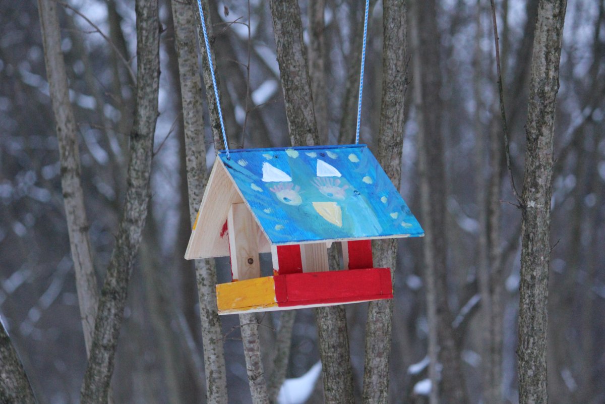 Украсить кормушку для птиц