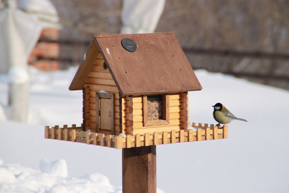 Кормушка для птиц