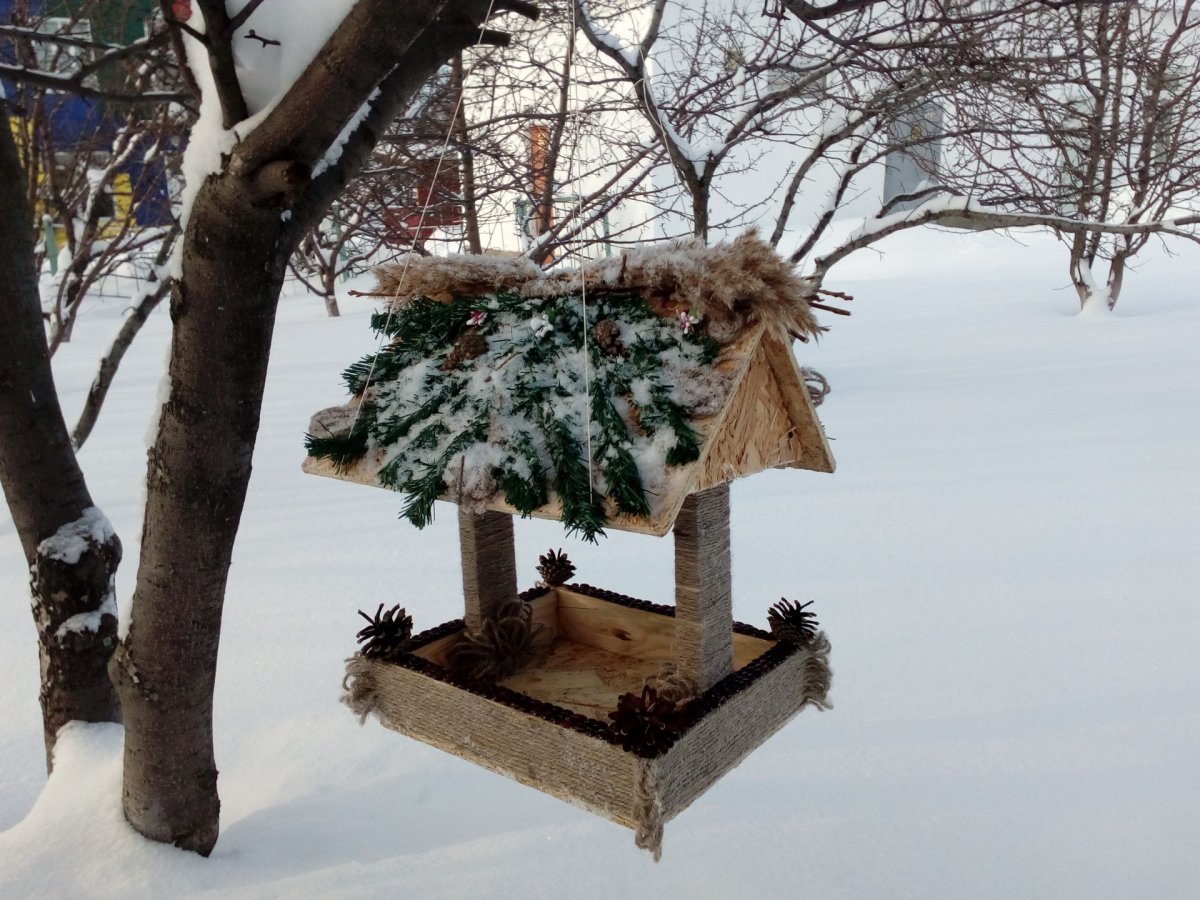 Зимняя кормушка для птиц