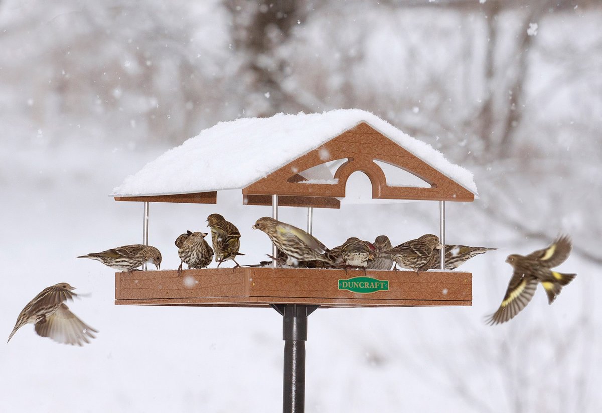 Кормушка для птичек
