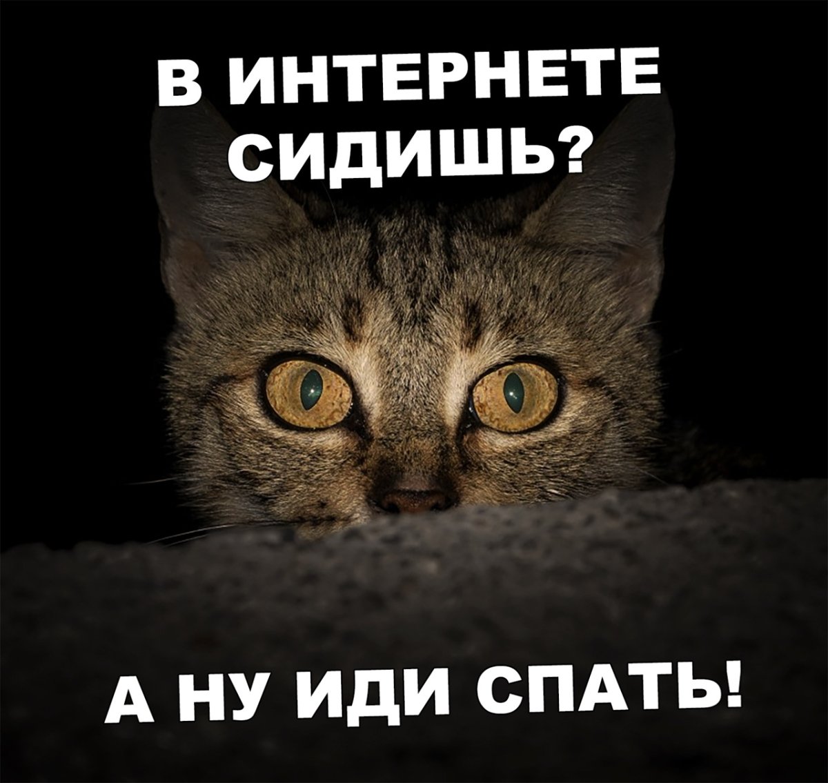 Спокойной ночи