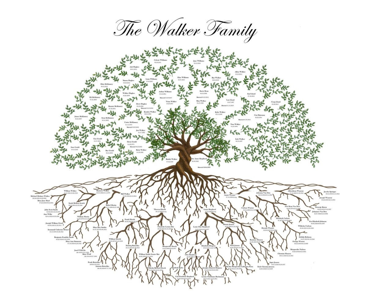 Дерево с корнями мультяшное