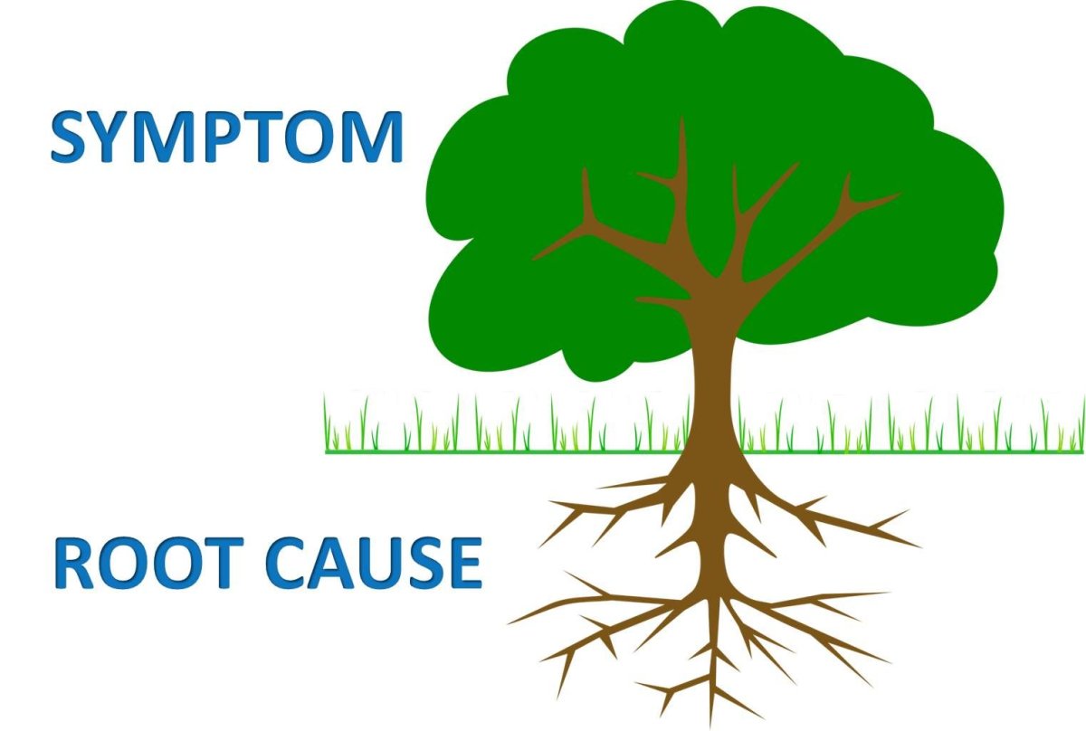 Строение дерева
