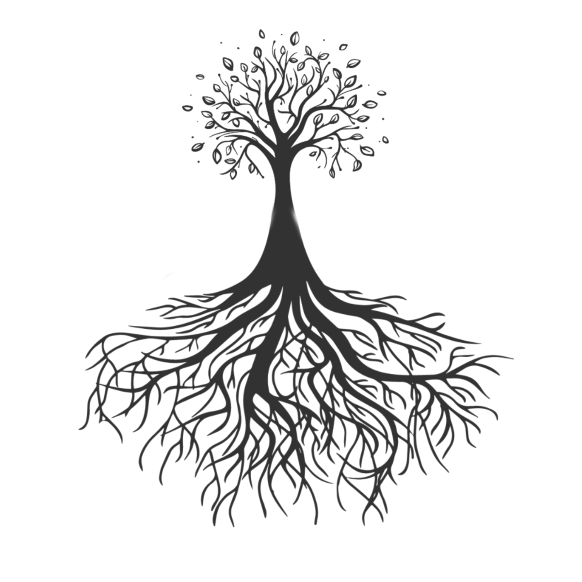 Корни дерева