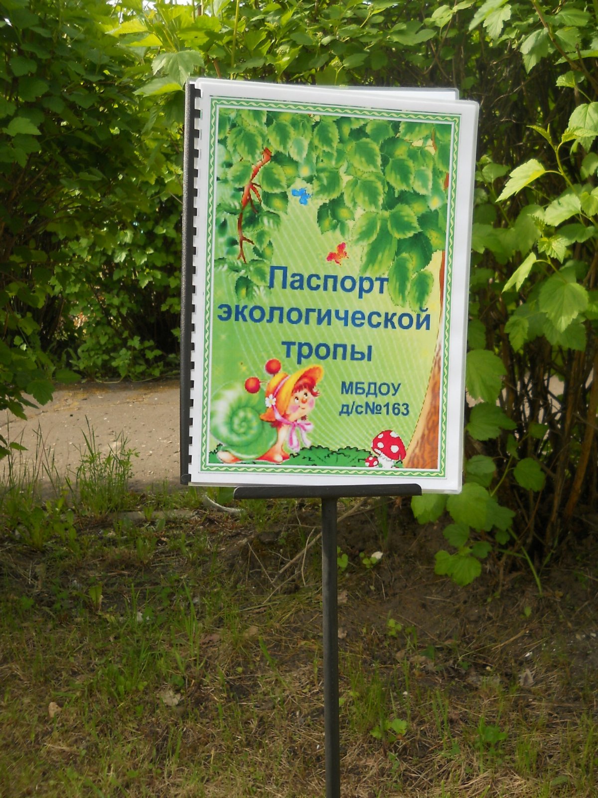 Экологическая тропа в детском саду рисунок