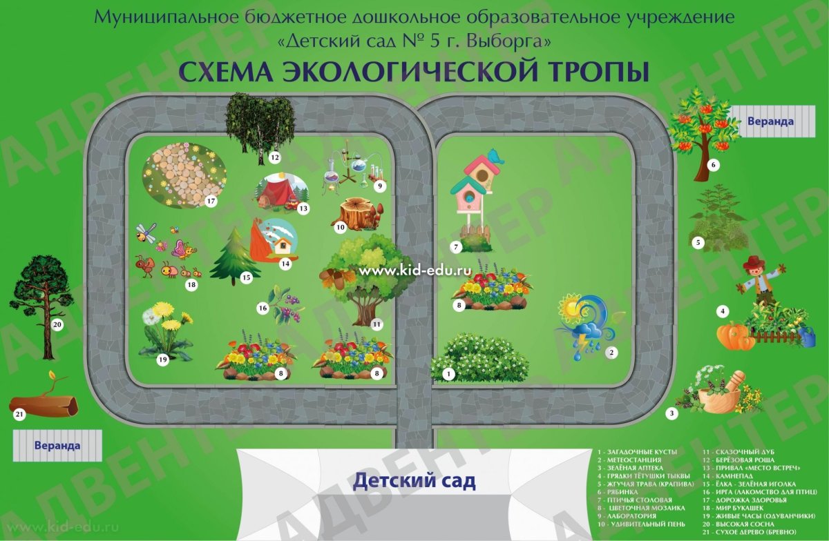 Экологическая тропа в детском саду