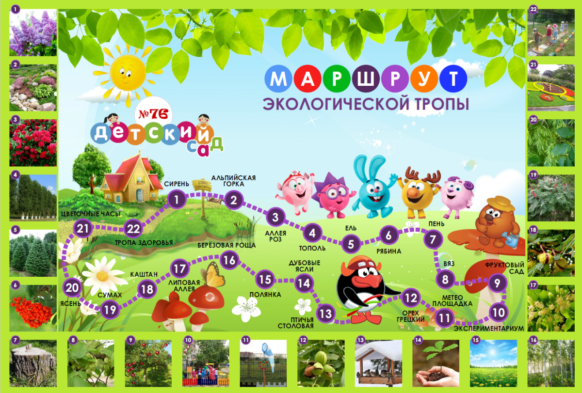 Фон экологическая тропа