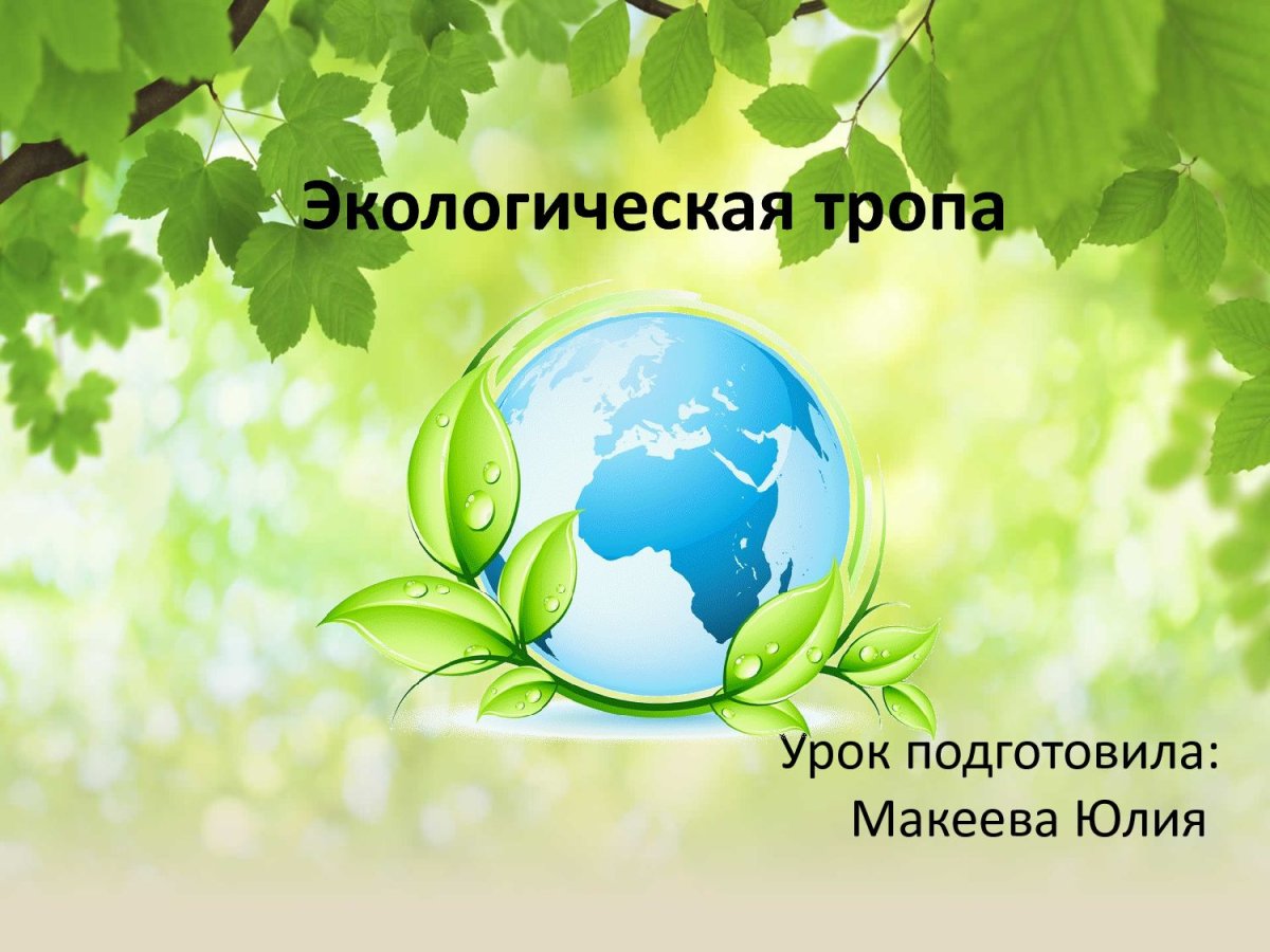 Экологическая тропинка