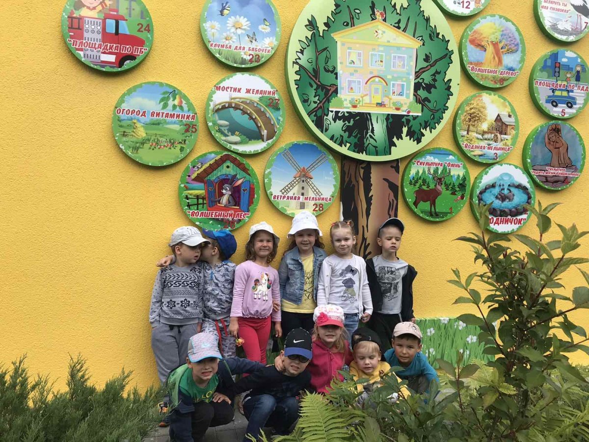 Фон для экологической тропы