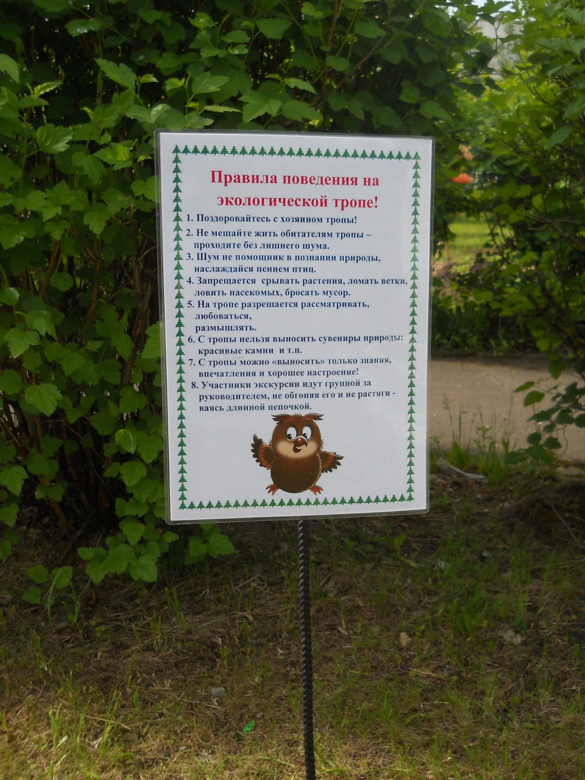 Экологическая тропа Лесная опушка