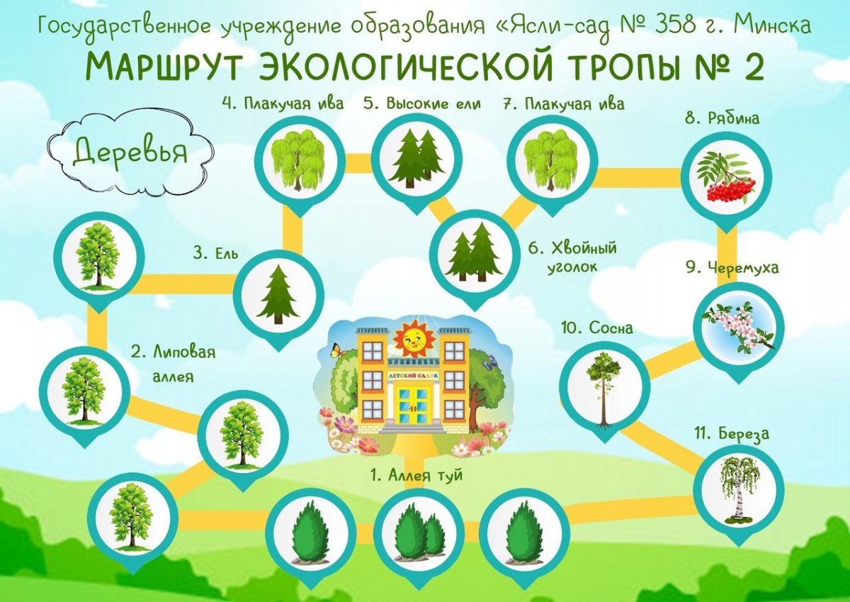 Экологическая тропа в детском саду