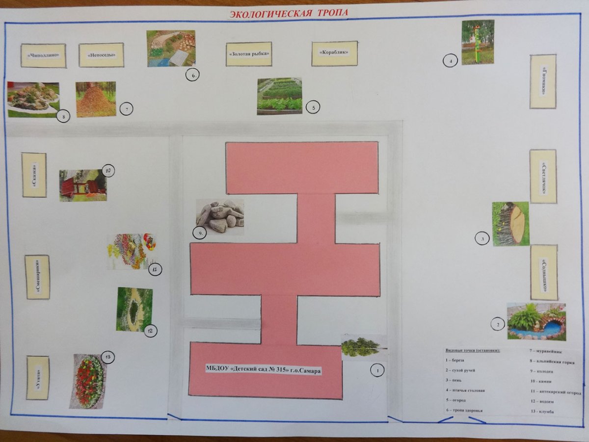 Эмблема зеленый патруль