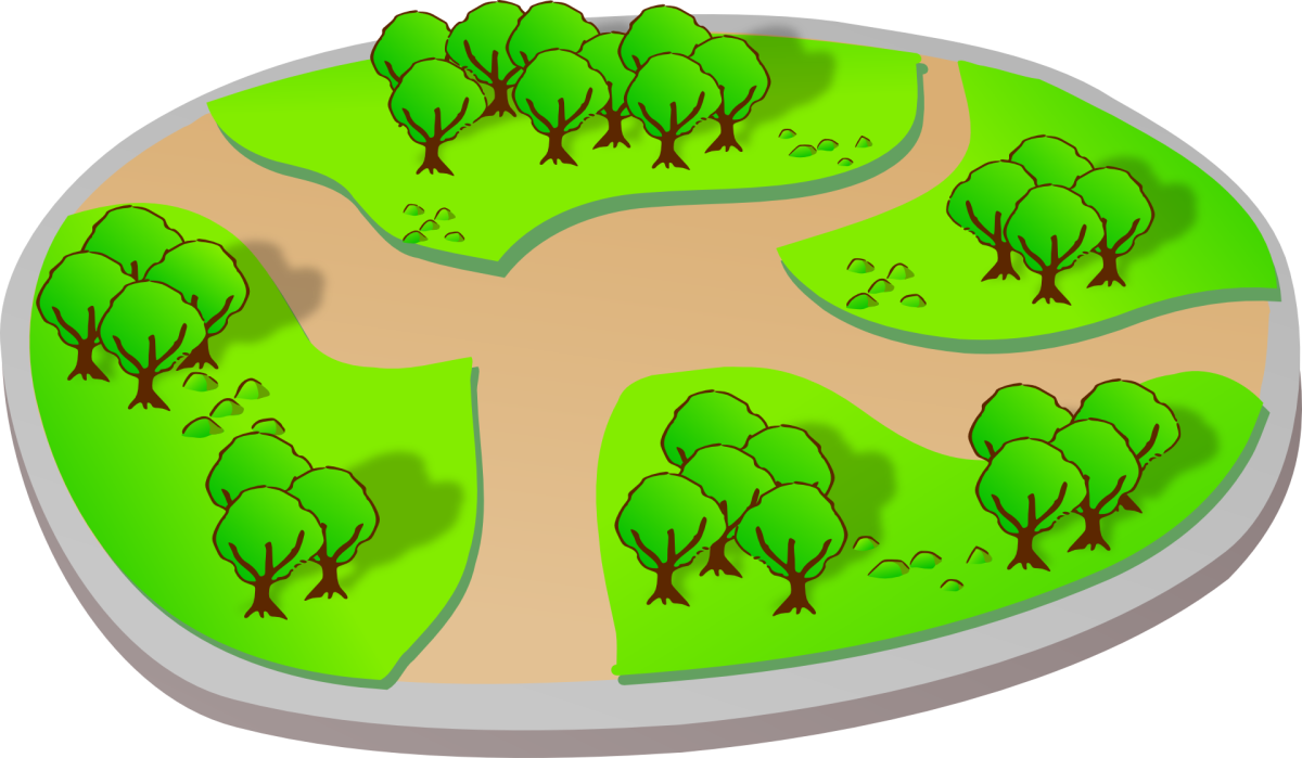 Экологическая тропа