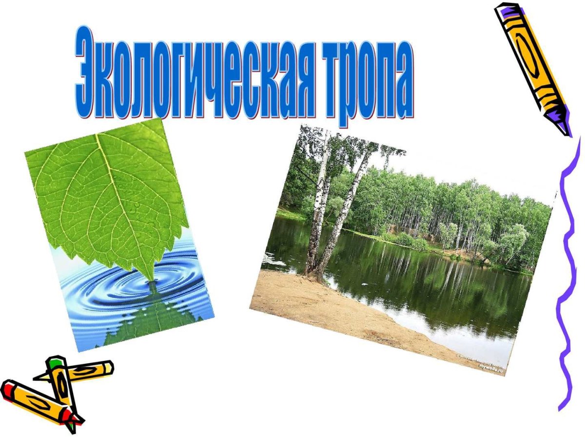 Карта схема экологической тропы