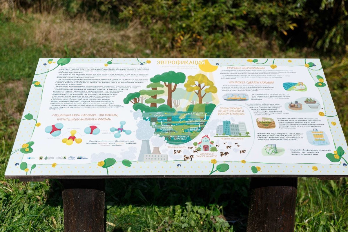 Туристическая детская тропа в детском саду