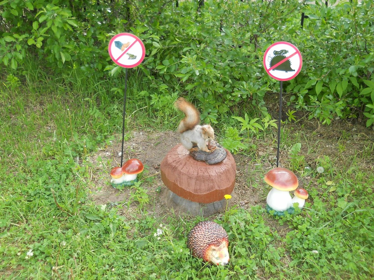 Таблички для экотропы