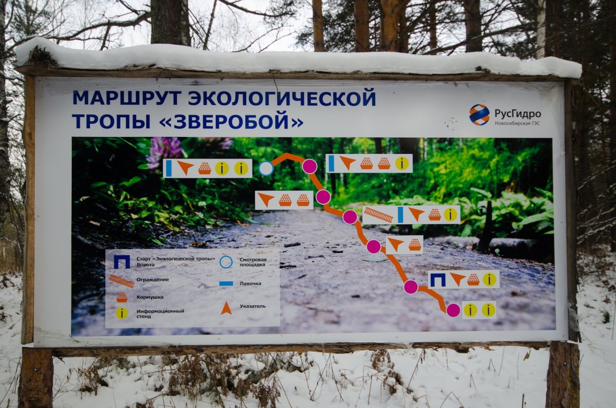 Дождемер на участке в детском саду