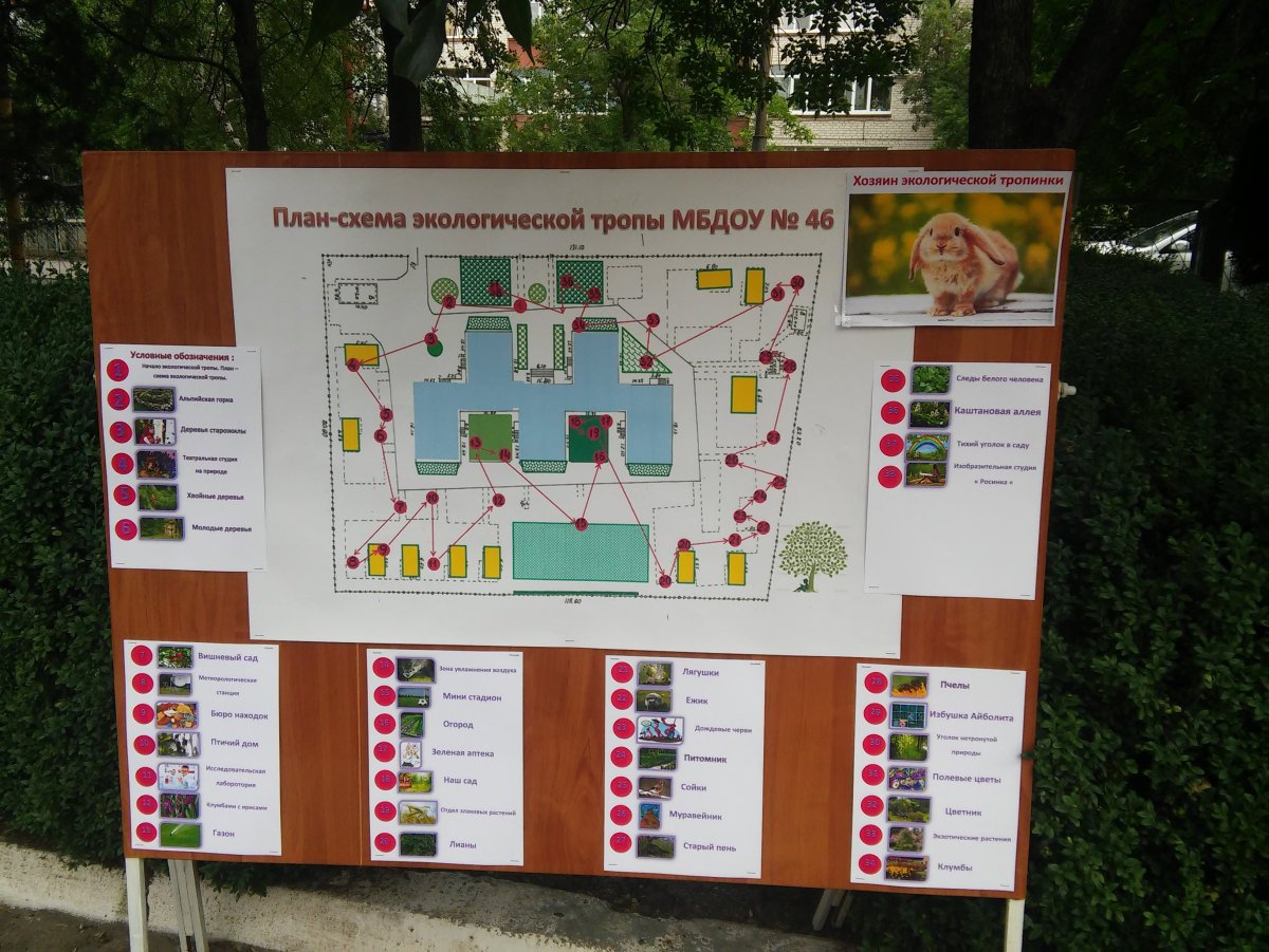 Эко тропа Лесные тайны Валдай