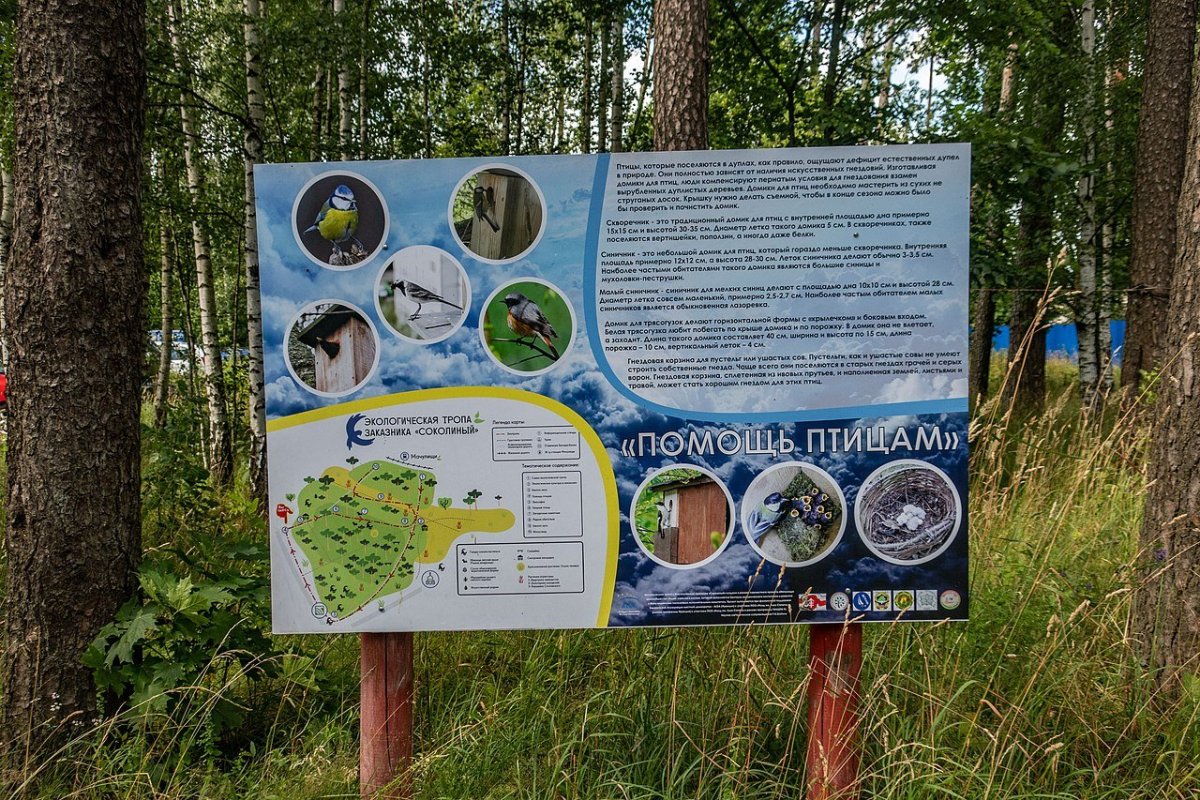 Заповедник столбы экотропа