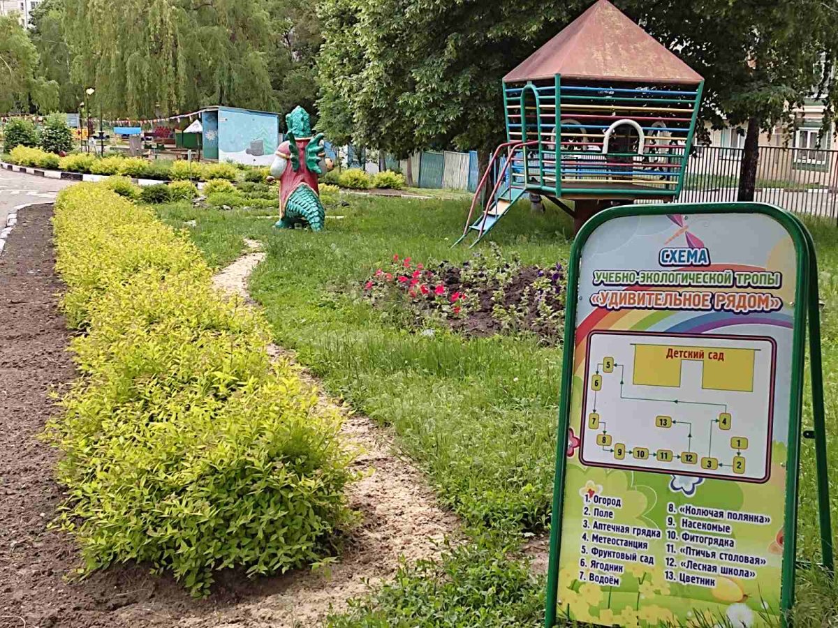 Книжный мостик в лето