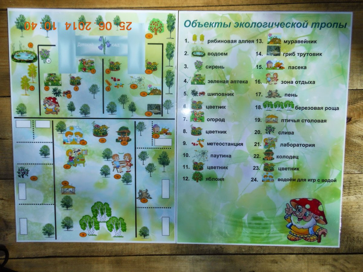 Таблички для экотропы