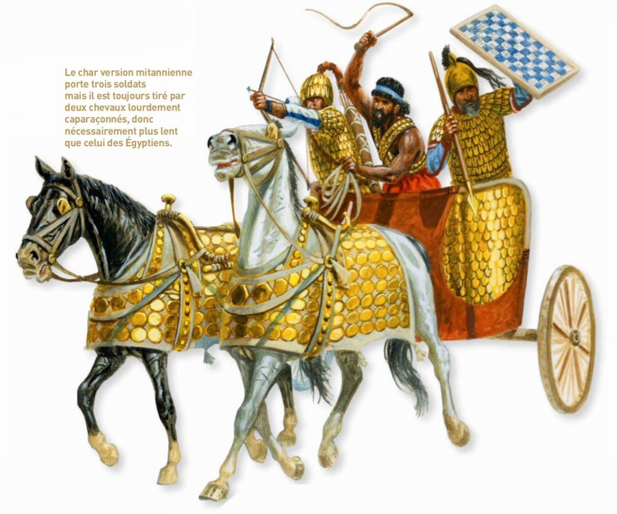 Эсседарий Гладиатор