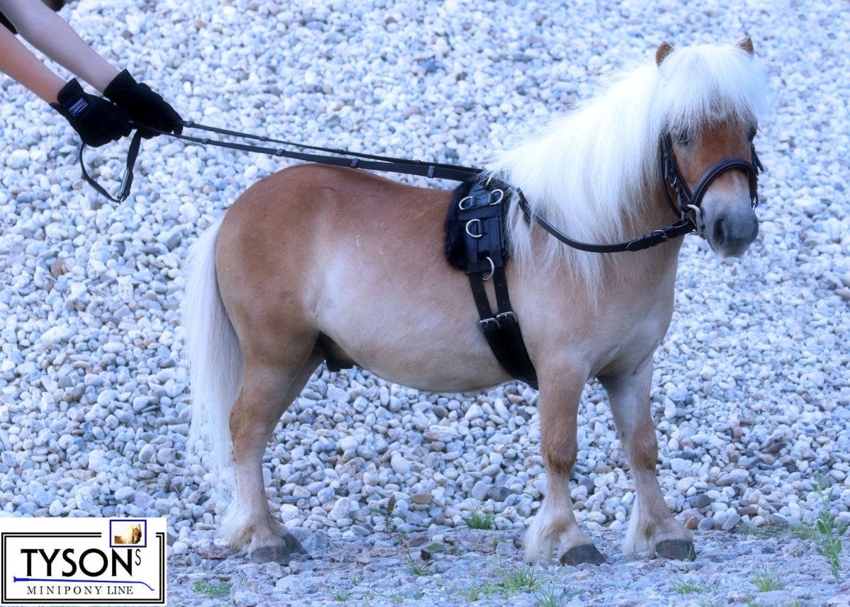 Вожжи для лошади