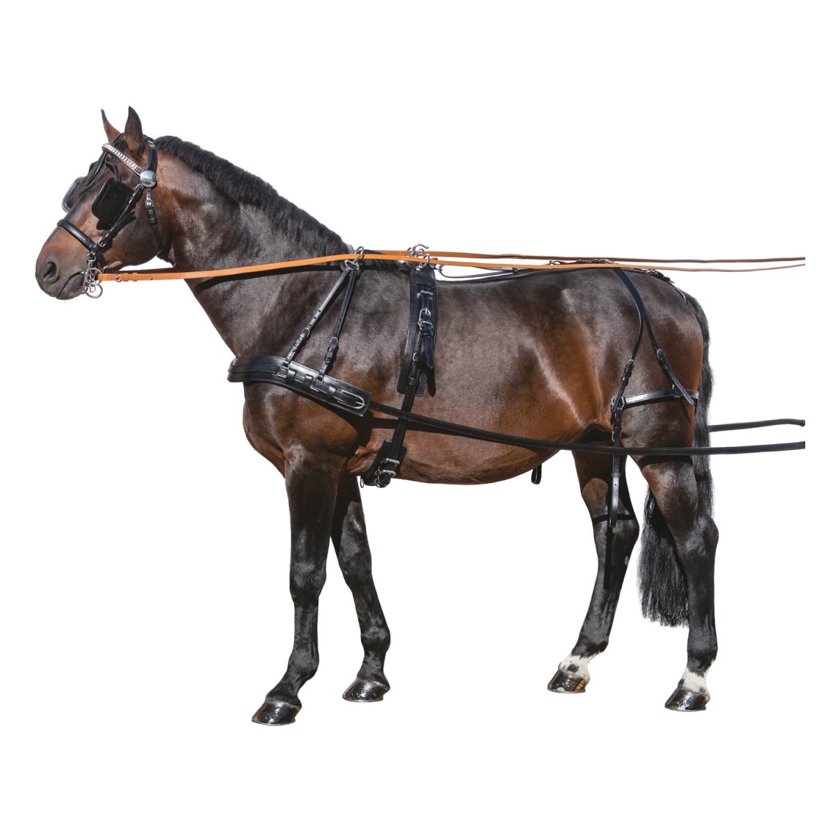 Упряжь постромочно Дышловая