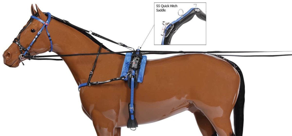 Сбруя спортивная для лошадей