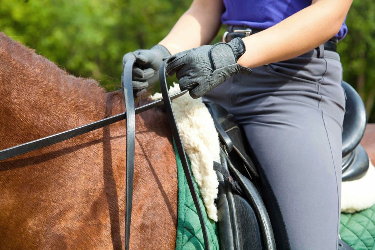 Человек в седле