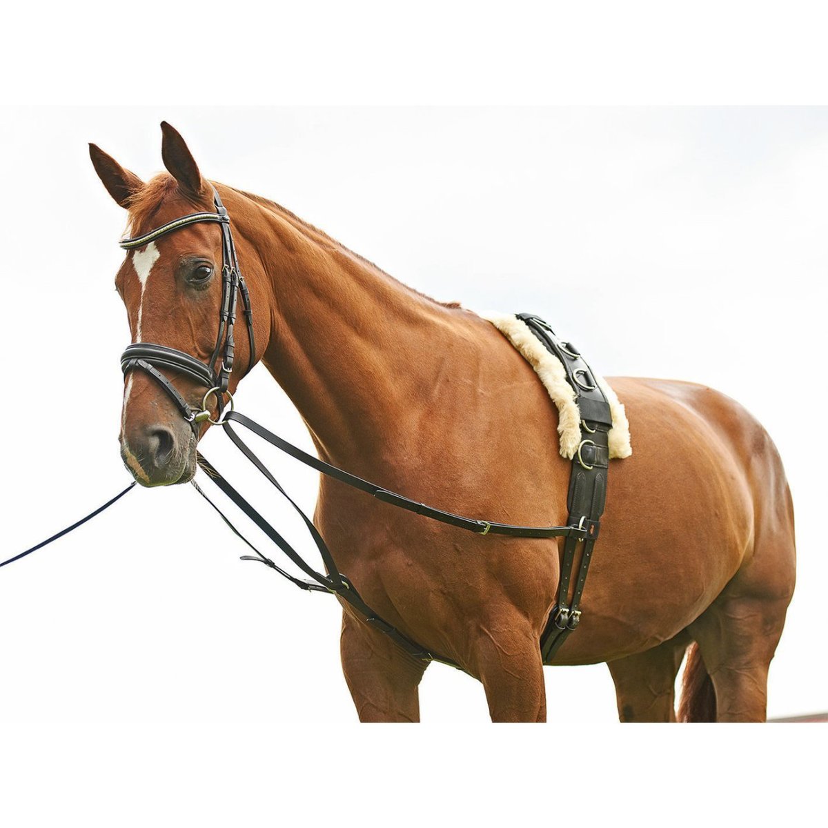 Вожжи для коня