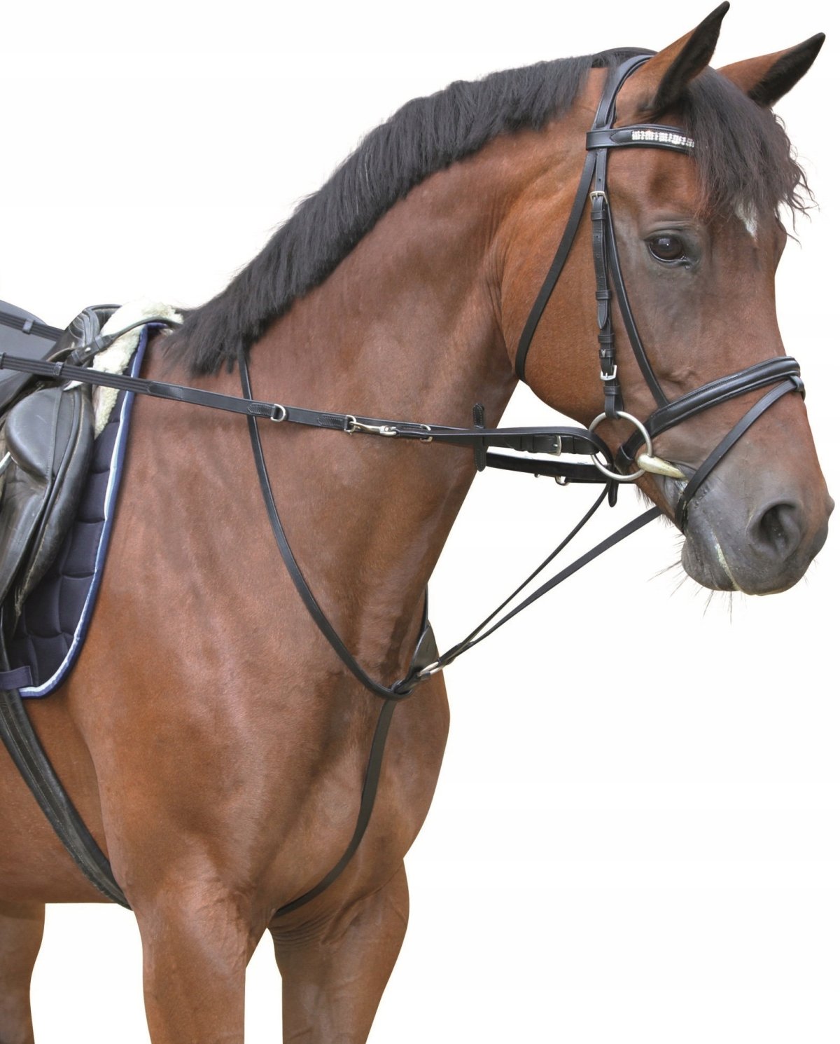 Мартингал Тидеманна