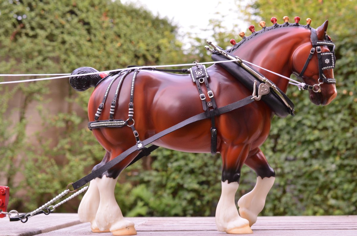 Вожжи Safety 1st Safety harness