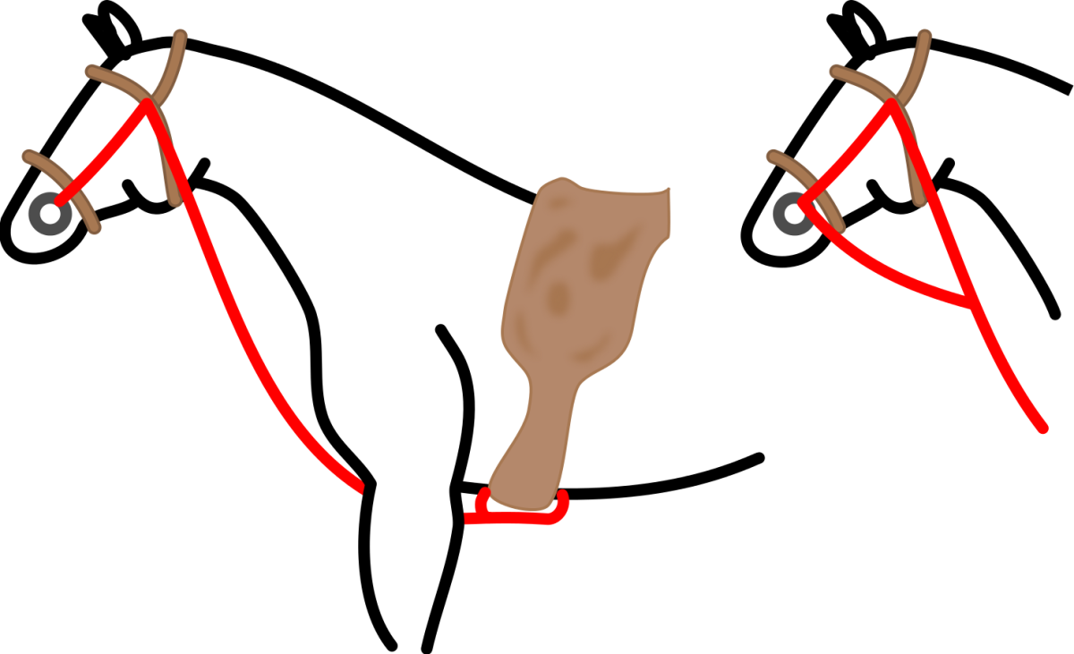 Гог для лошади