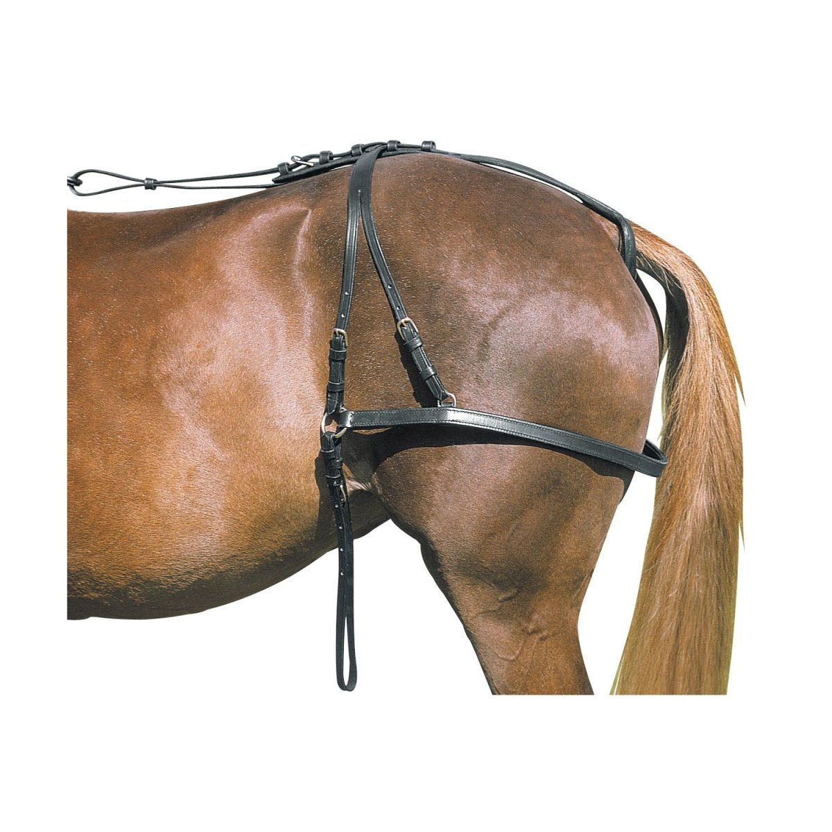 Упряжка для лошади