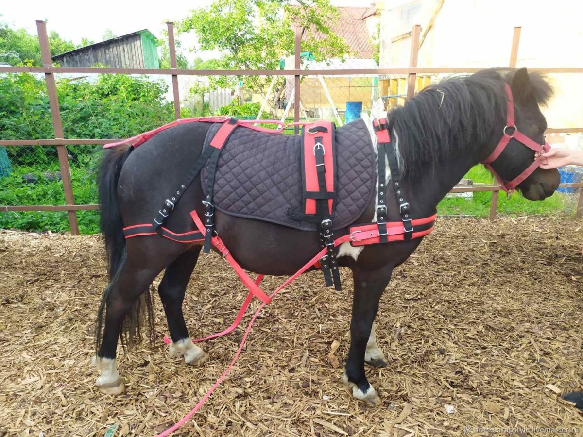 Вожжи для лошади