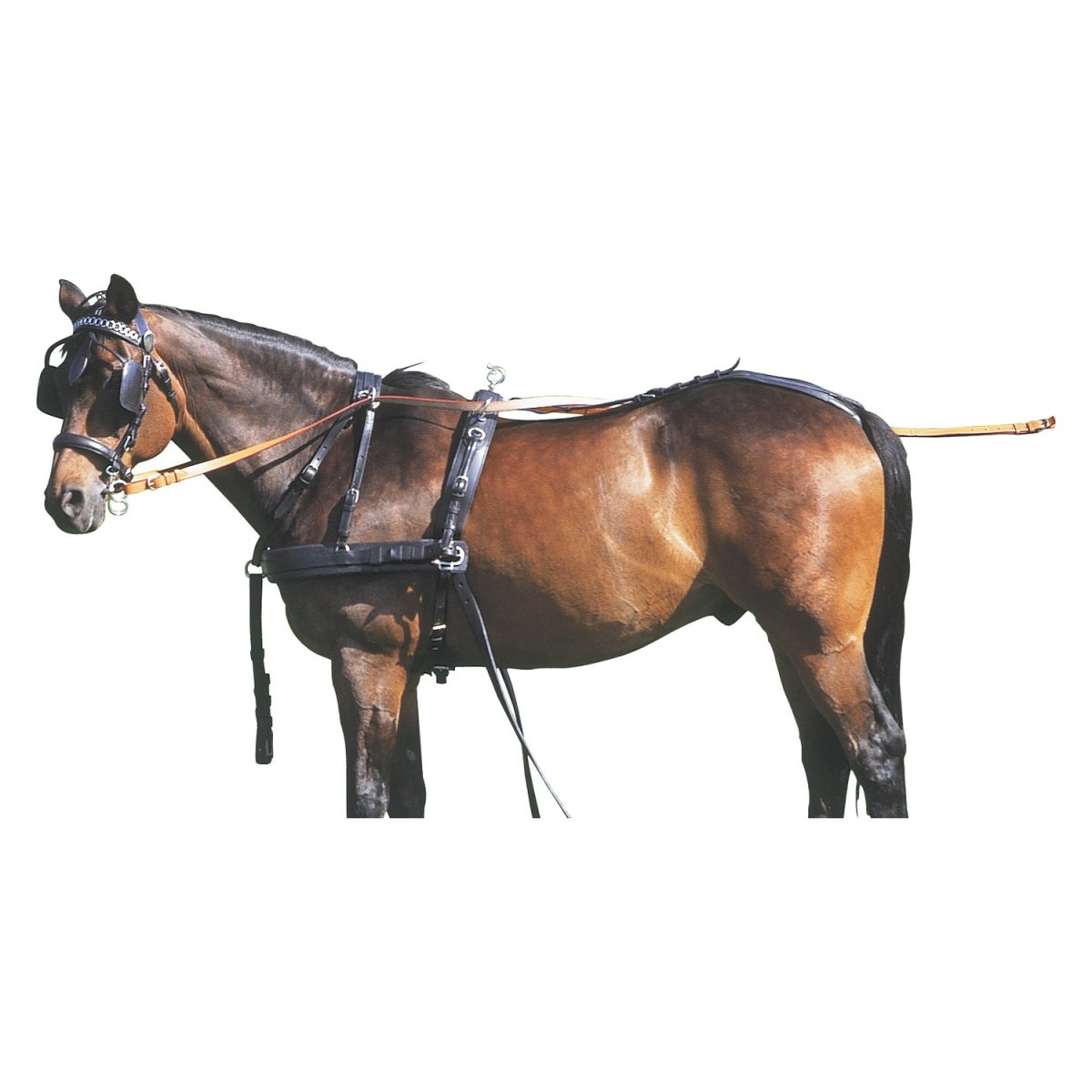 Седло и сбруя на лошадь