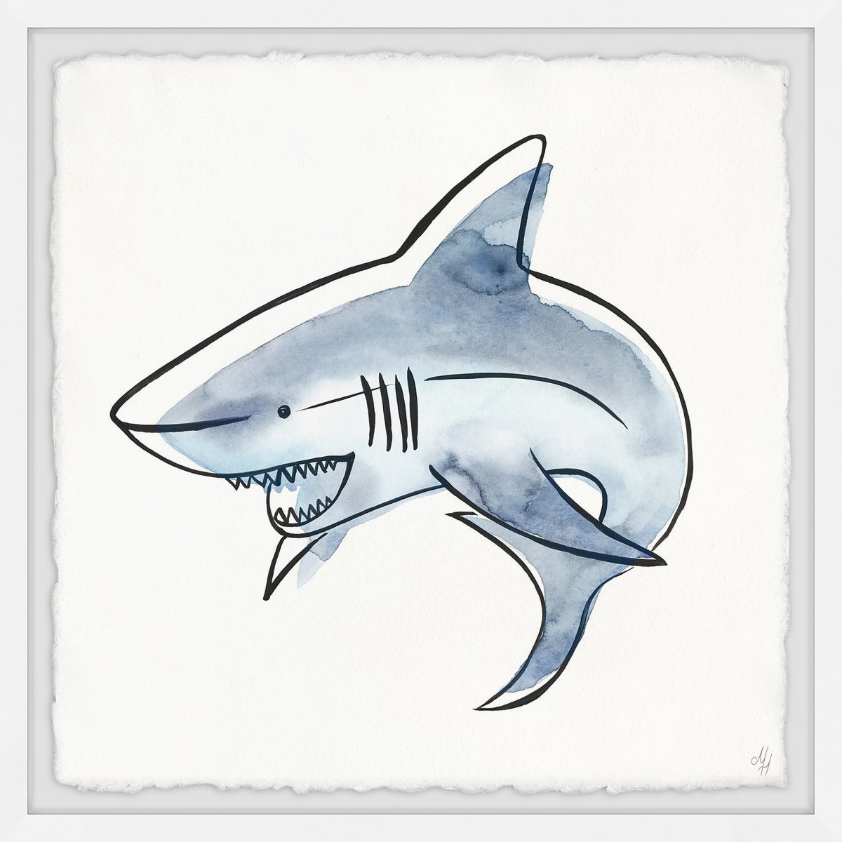 Тигровая акула рисунок