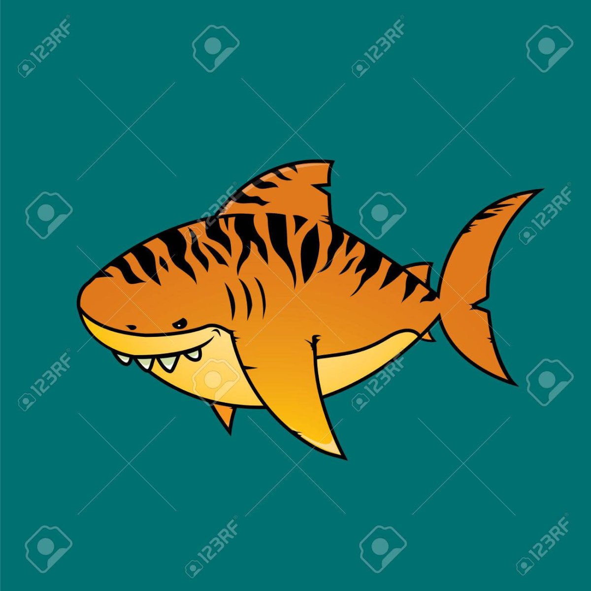 Тигровая акула (Galeocerdo Cuvier)