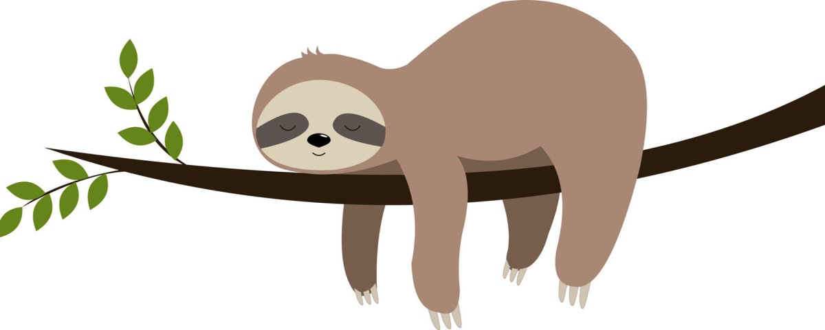 Ленивец рисунок на белом фоне