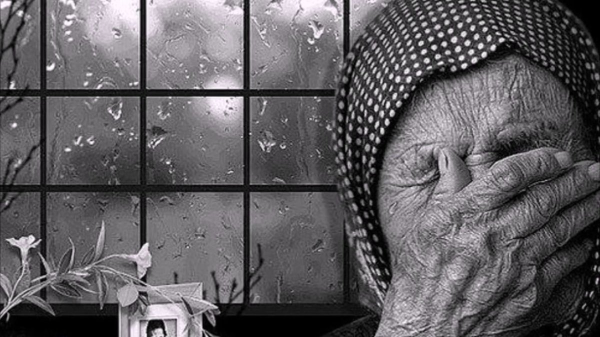 Трогательные снимки