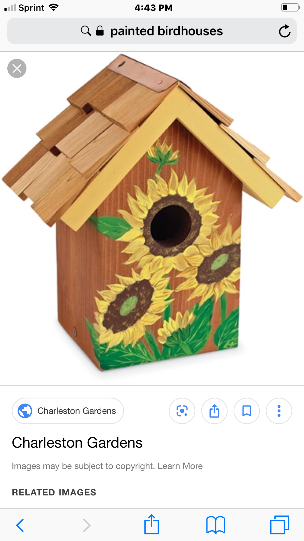 Весна скворечник