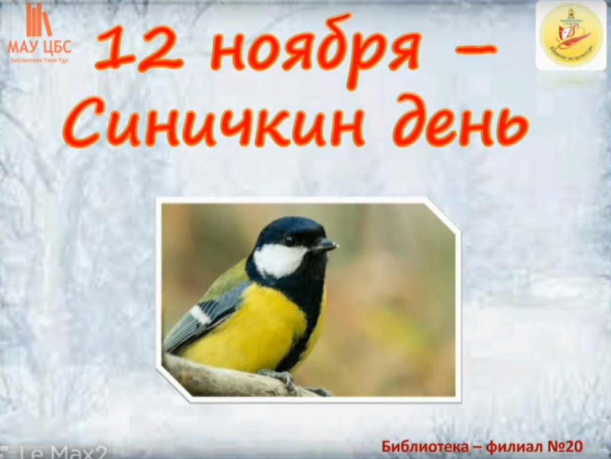 Живая природа птицы