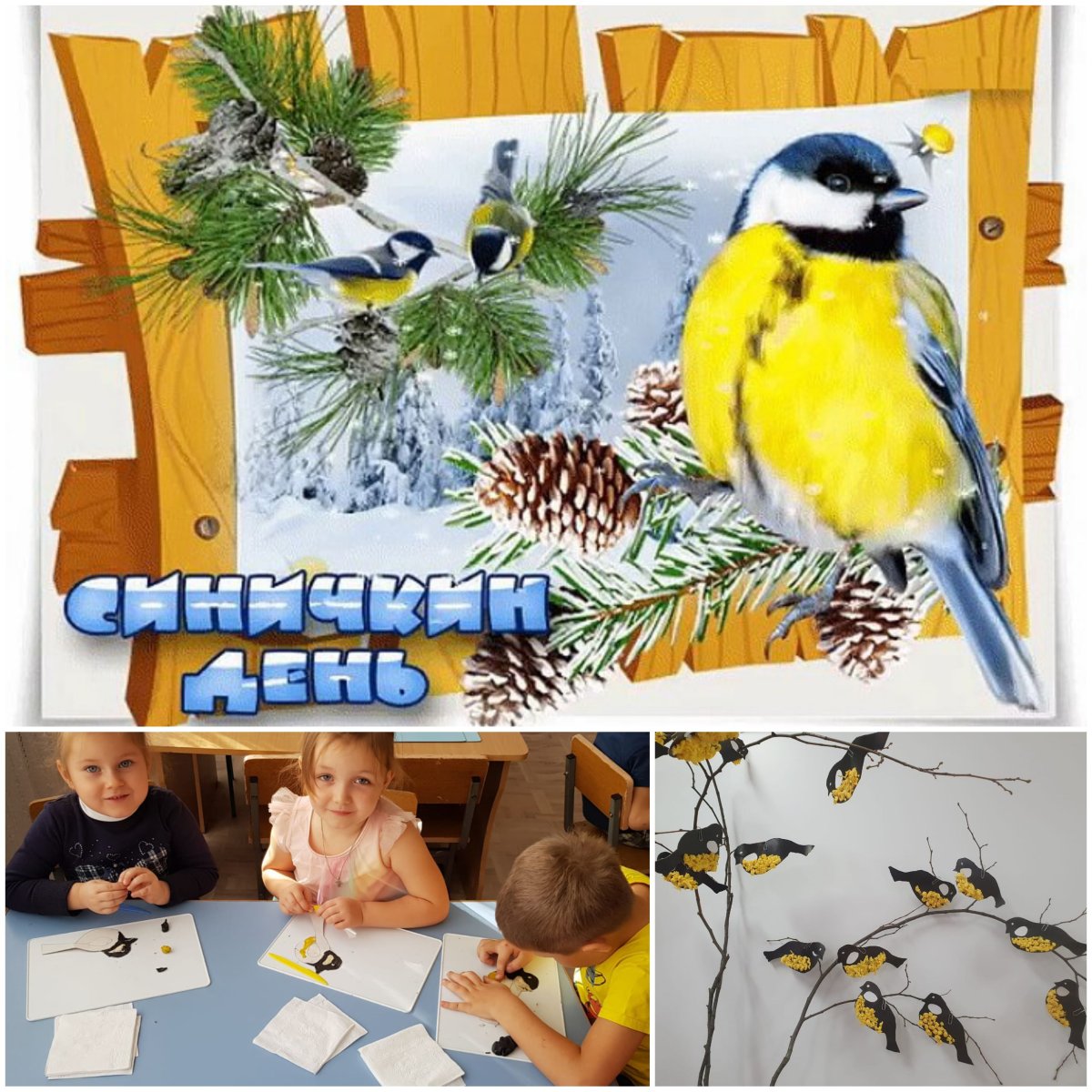 Картинки Синичкин день видеоролик для детей