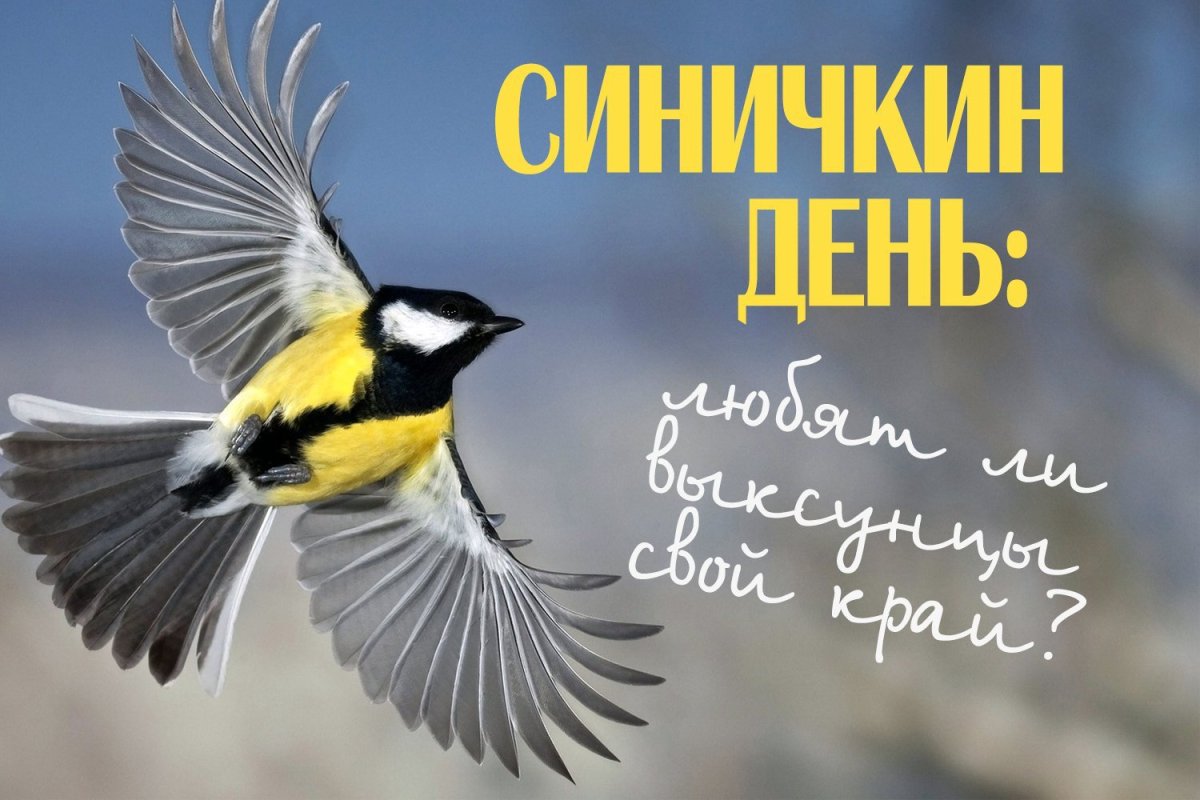 Праздник Синичкин день