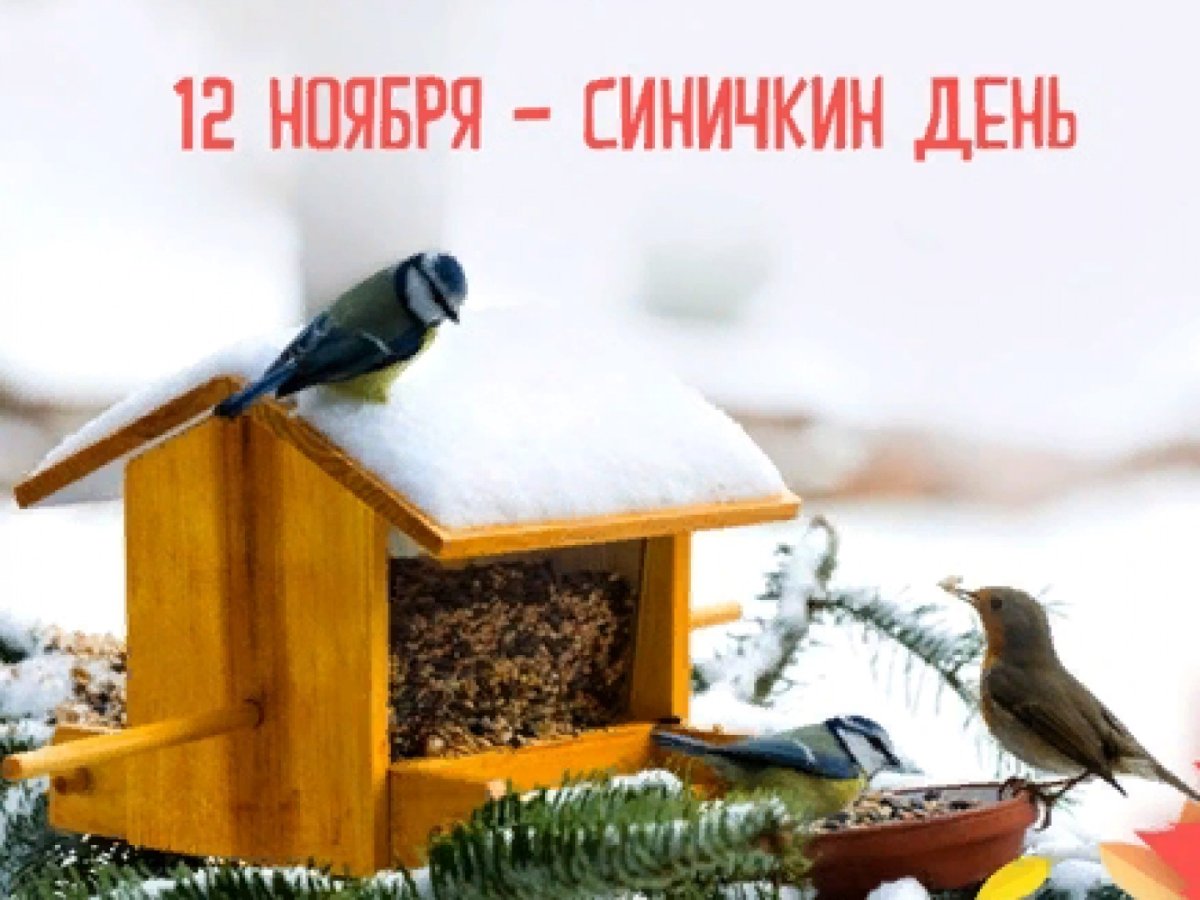 День синицы