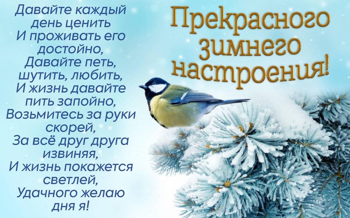 Фон для презентации Синичкин день для детского сада