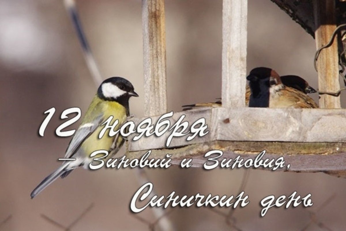 Праздник Синичкин день