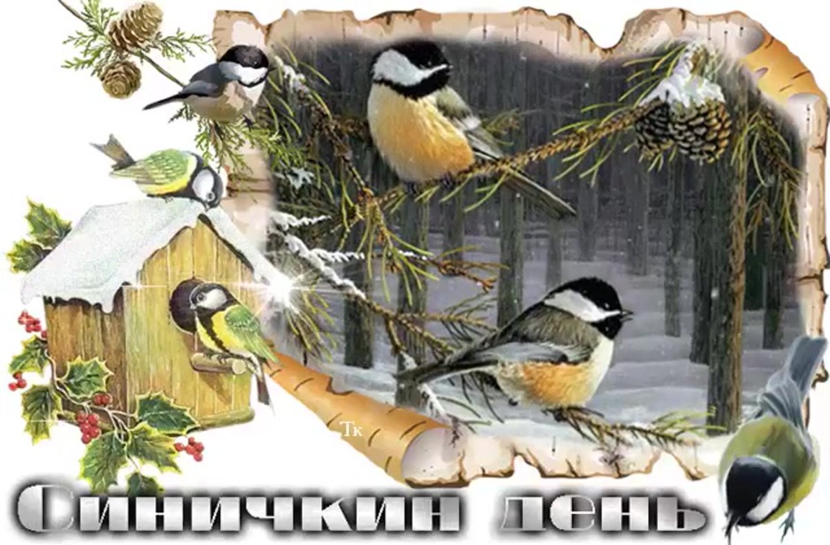 Природа птицы